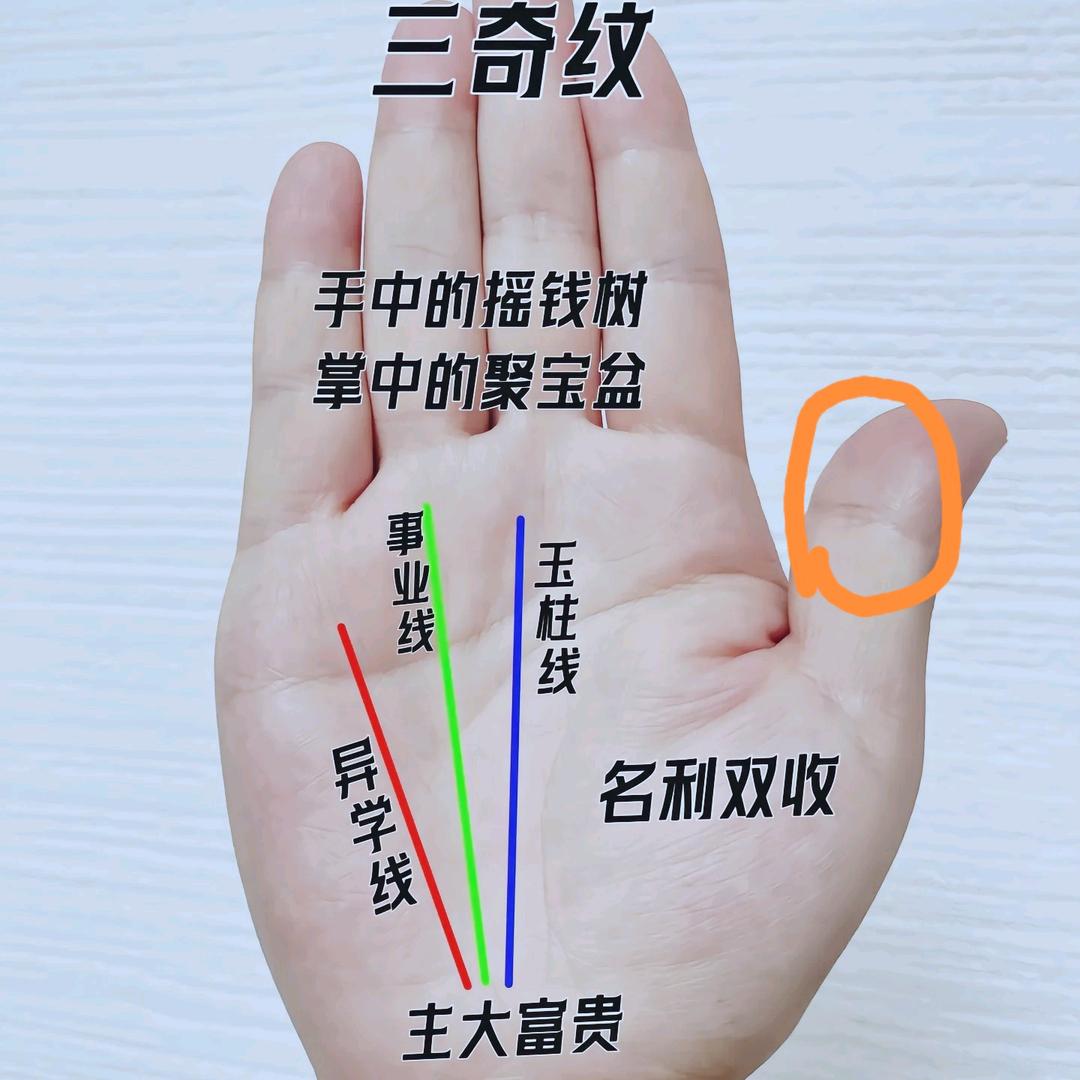 手相【柯先生】
