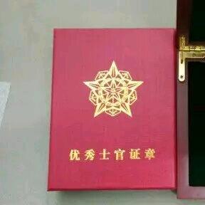宠宝哥