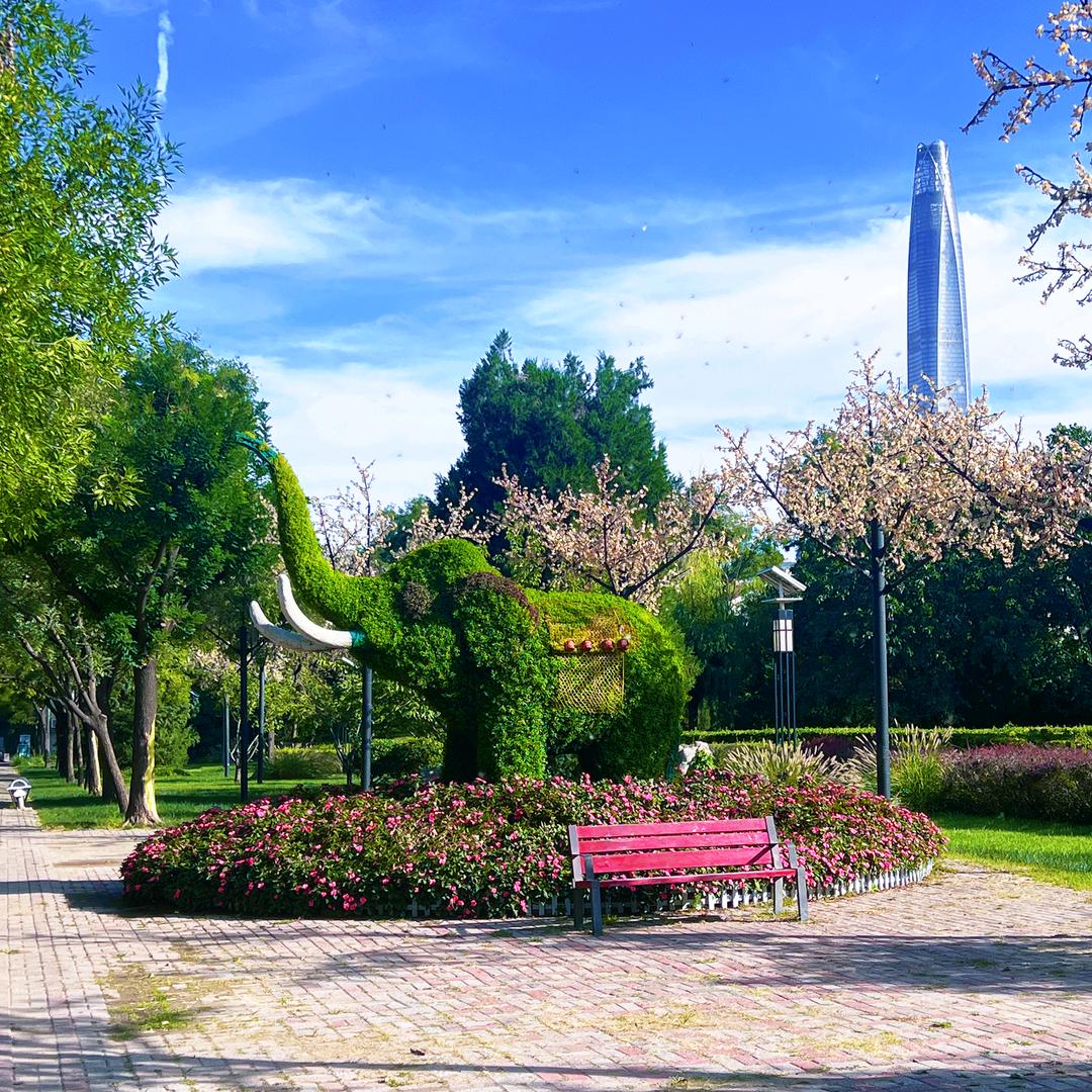 漂洋过海来看你