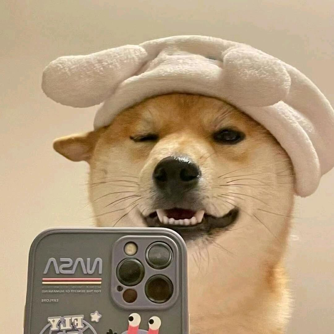 喵汪铺