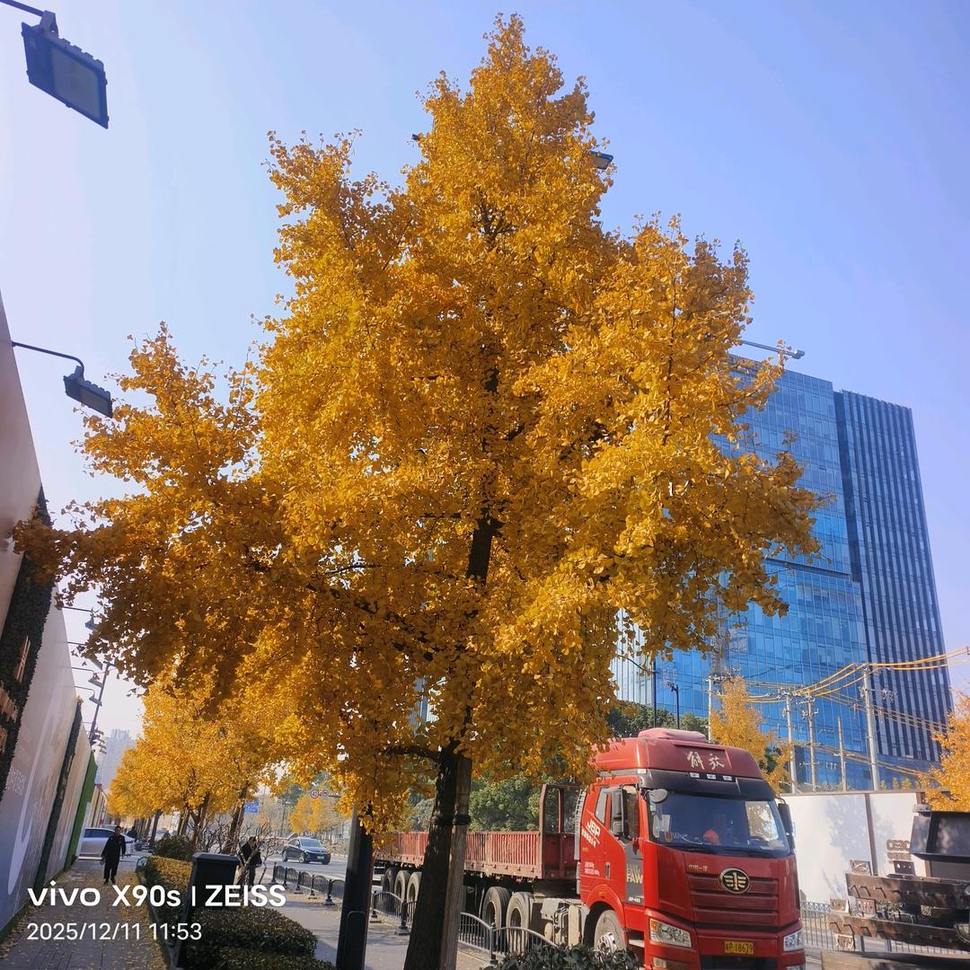 规划最好的路线，加油。