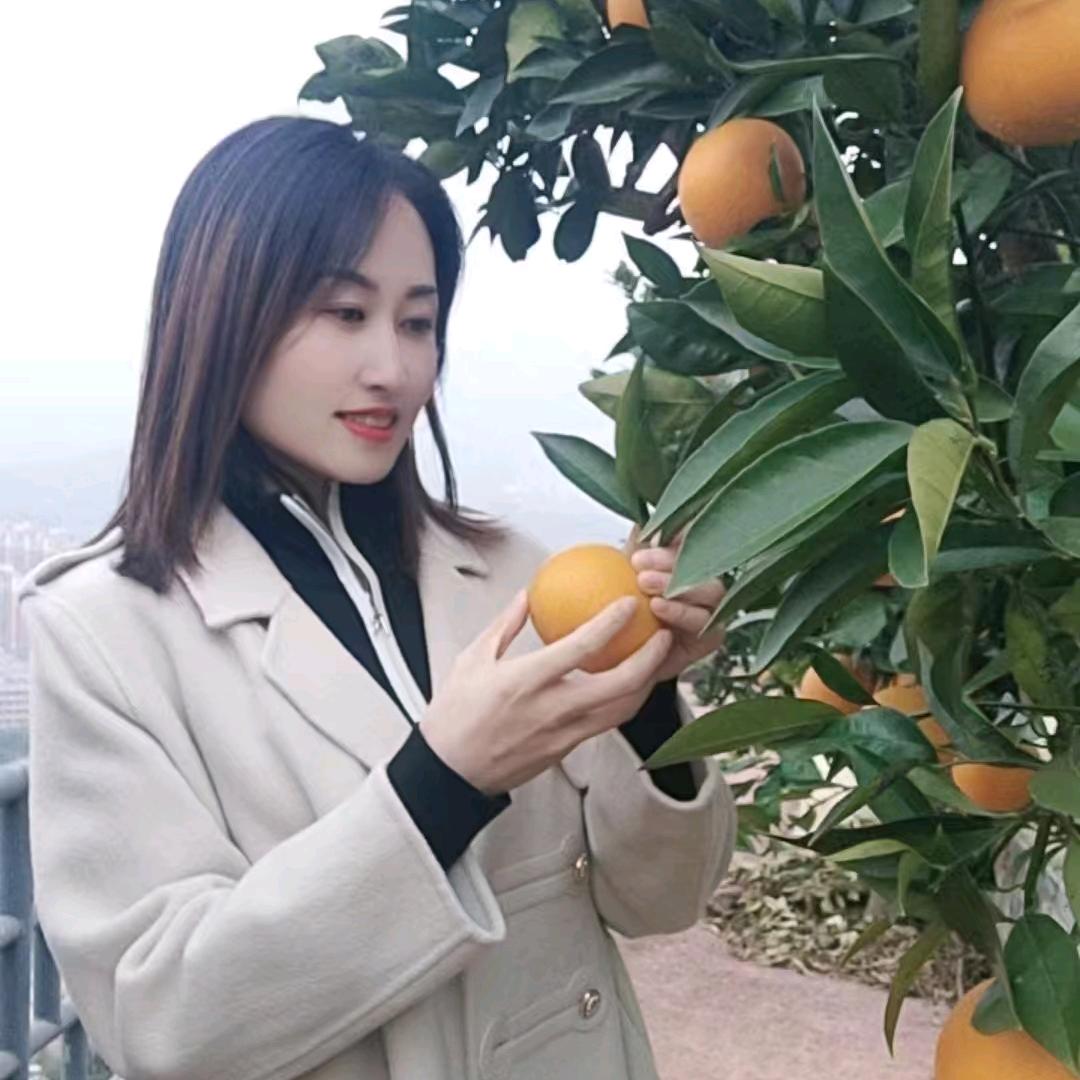 壹月❤️