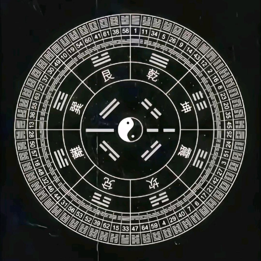 郎贤的5宠粉号