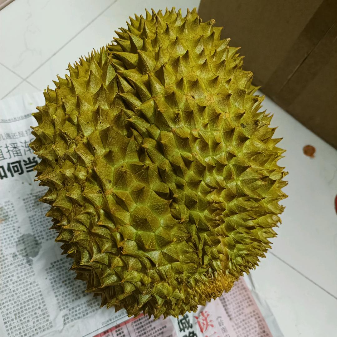榴恋你（装修中）