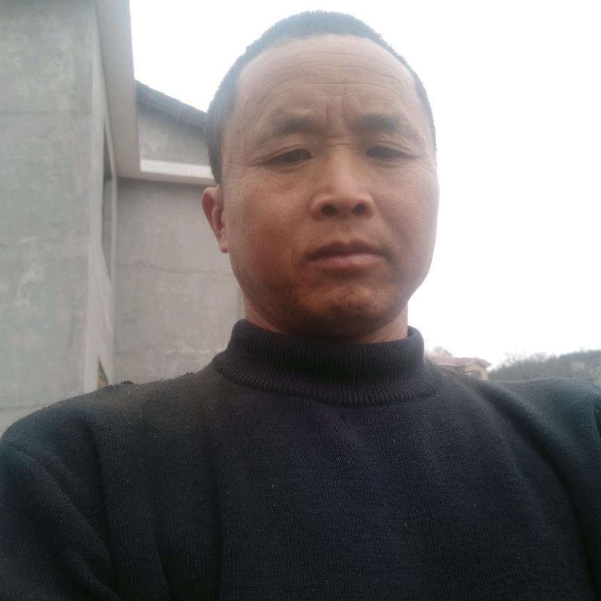 梦的引导