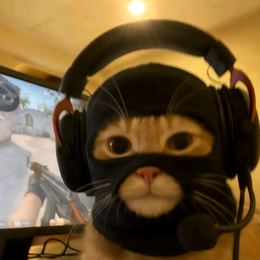 疋