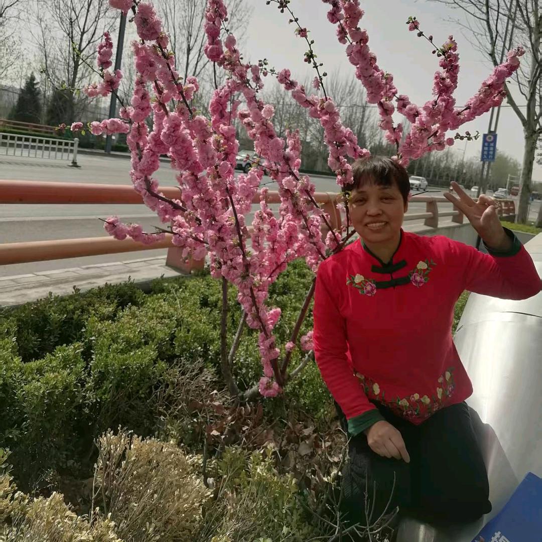 爱跳广场舞