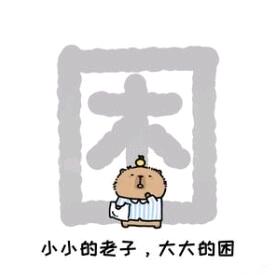 渔夫ʸᶠ