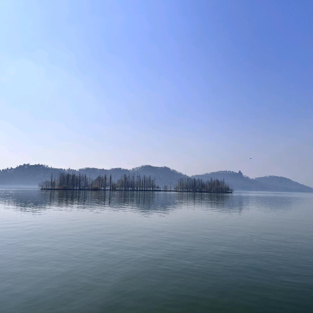 在哪里跌倒就在哪里躺下