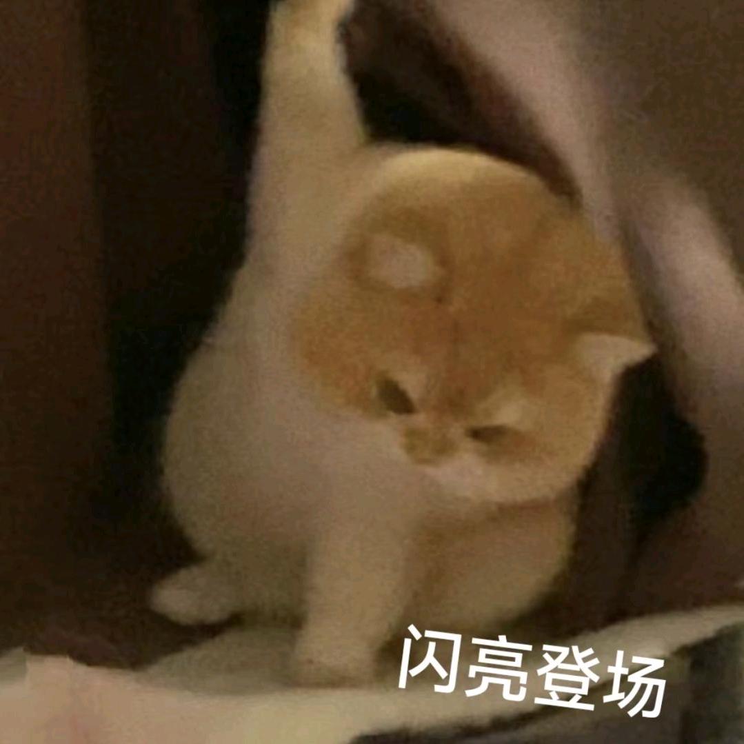 纯情蟑螂火辣辣