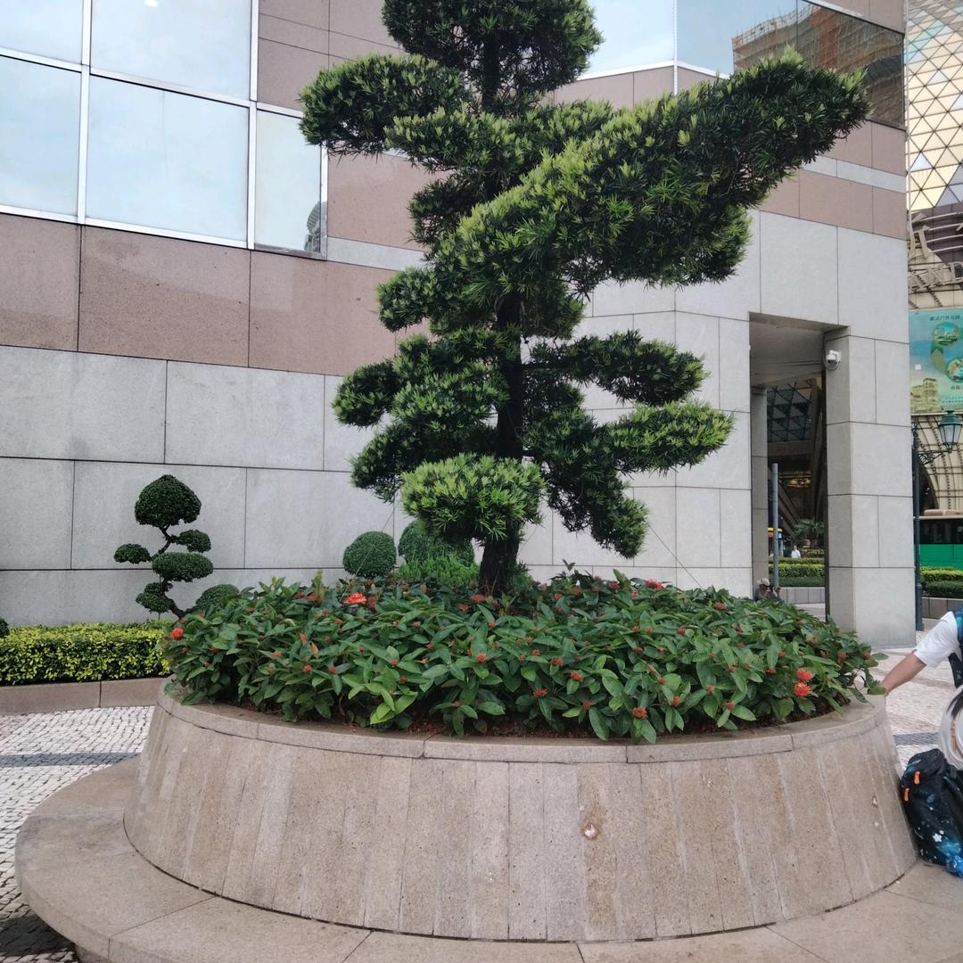 用户郑山乡火峰村