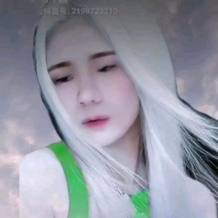 胡招摇