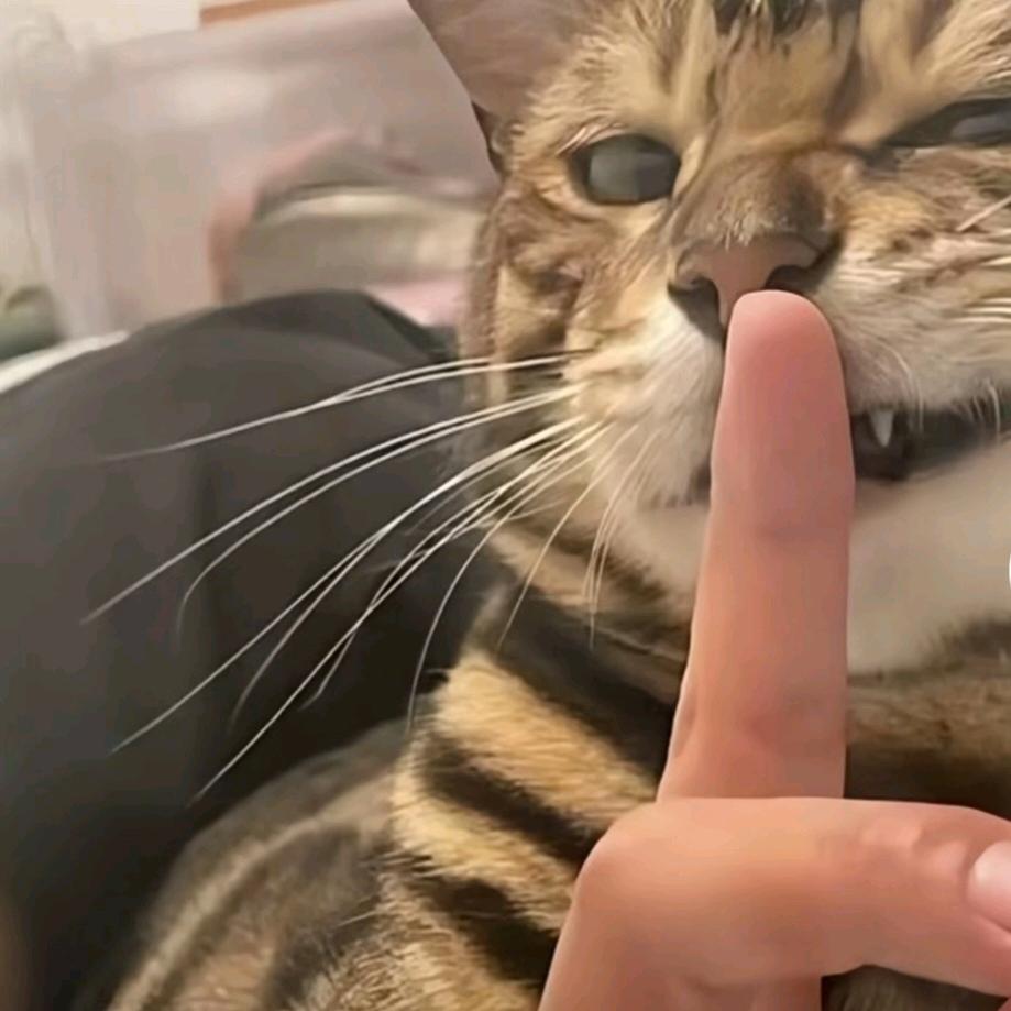 扎