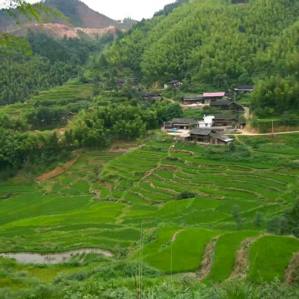 我是山卡卡的忠诚老实。