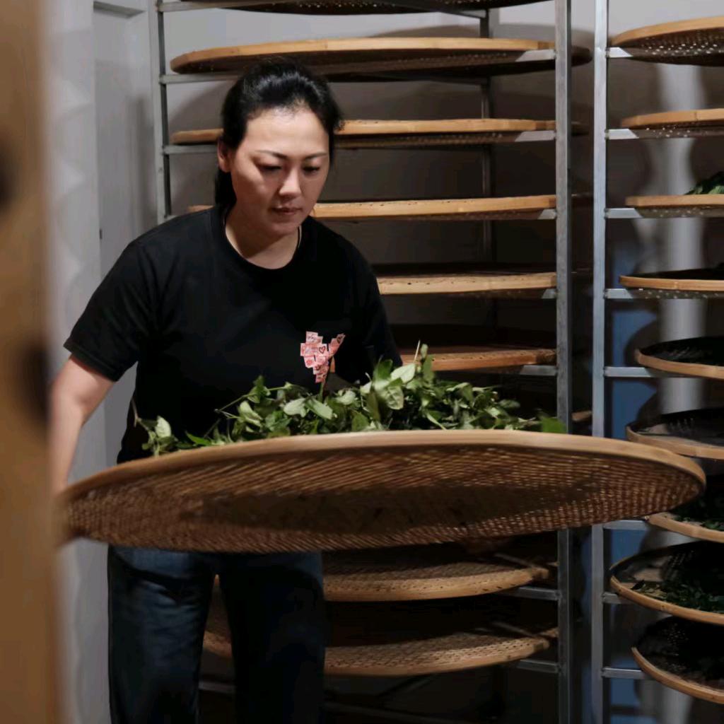 制茶人胡许莲