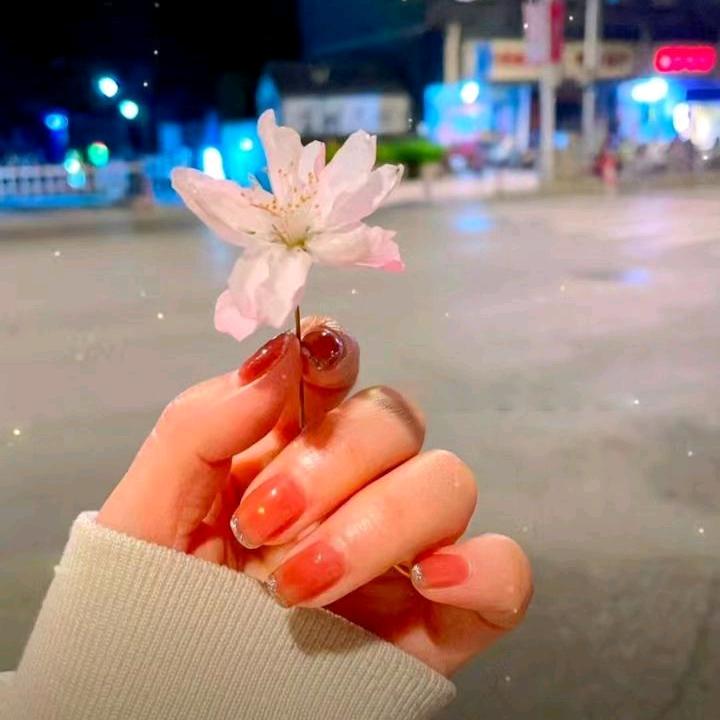 百年老土方