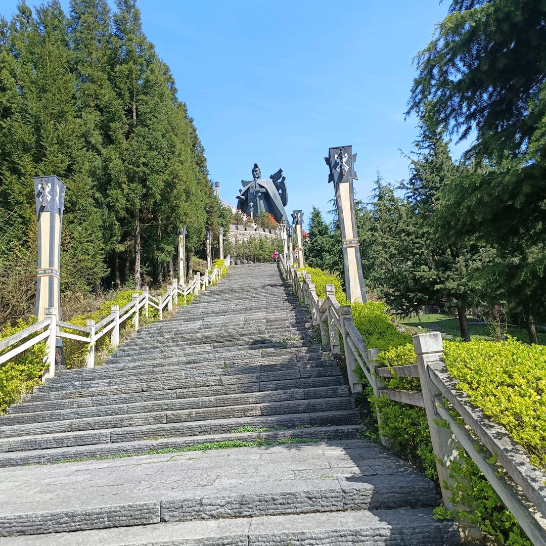 柿柿如意