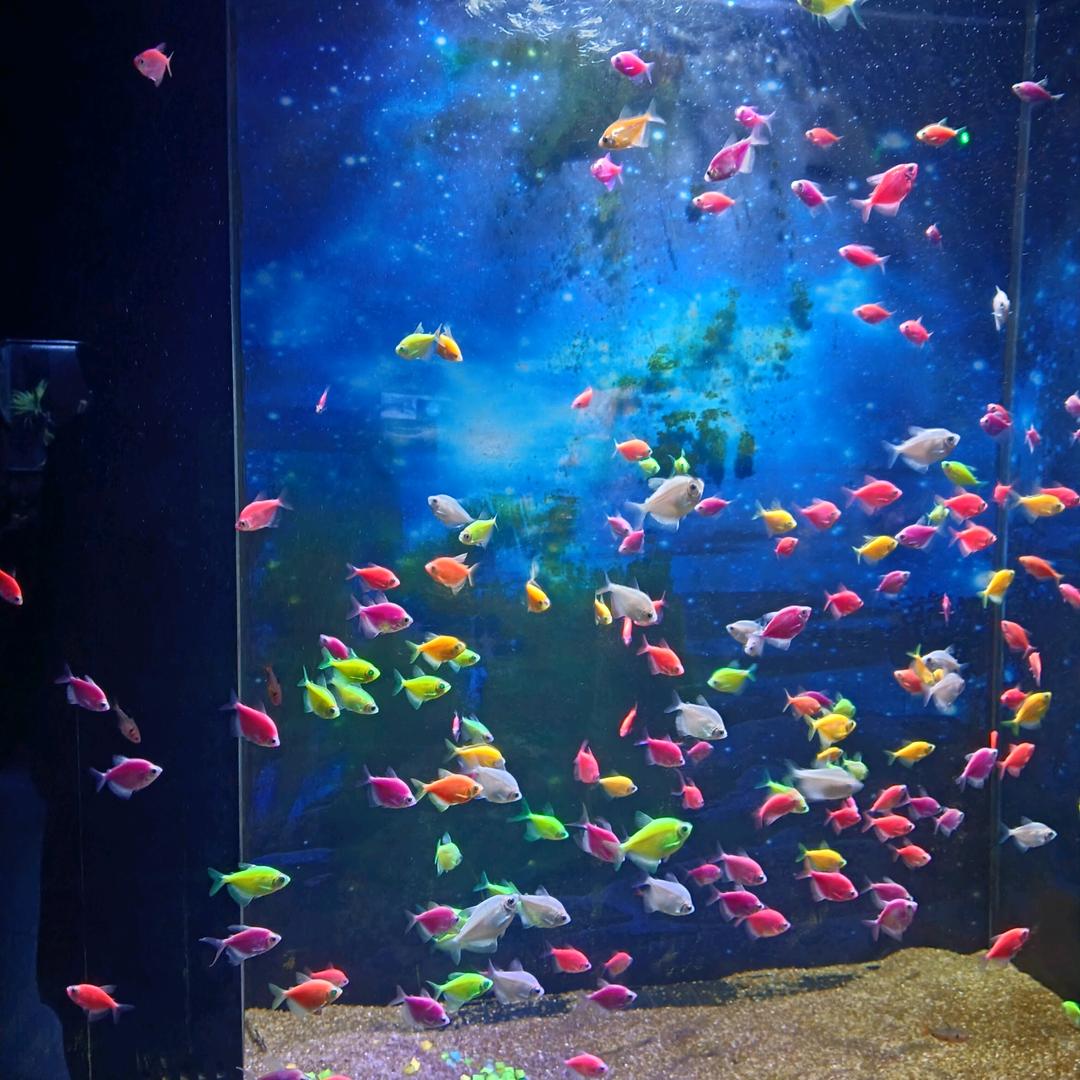 岽川装饰有限公司