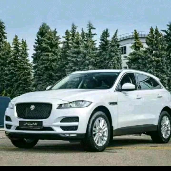 （感情失败找不到真心的）