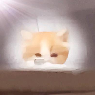 莱米