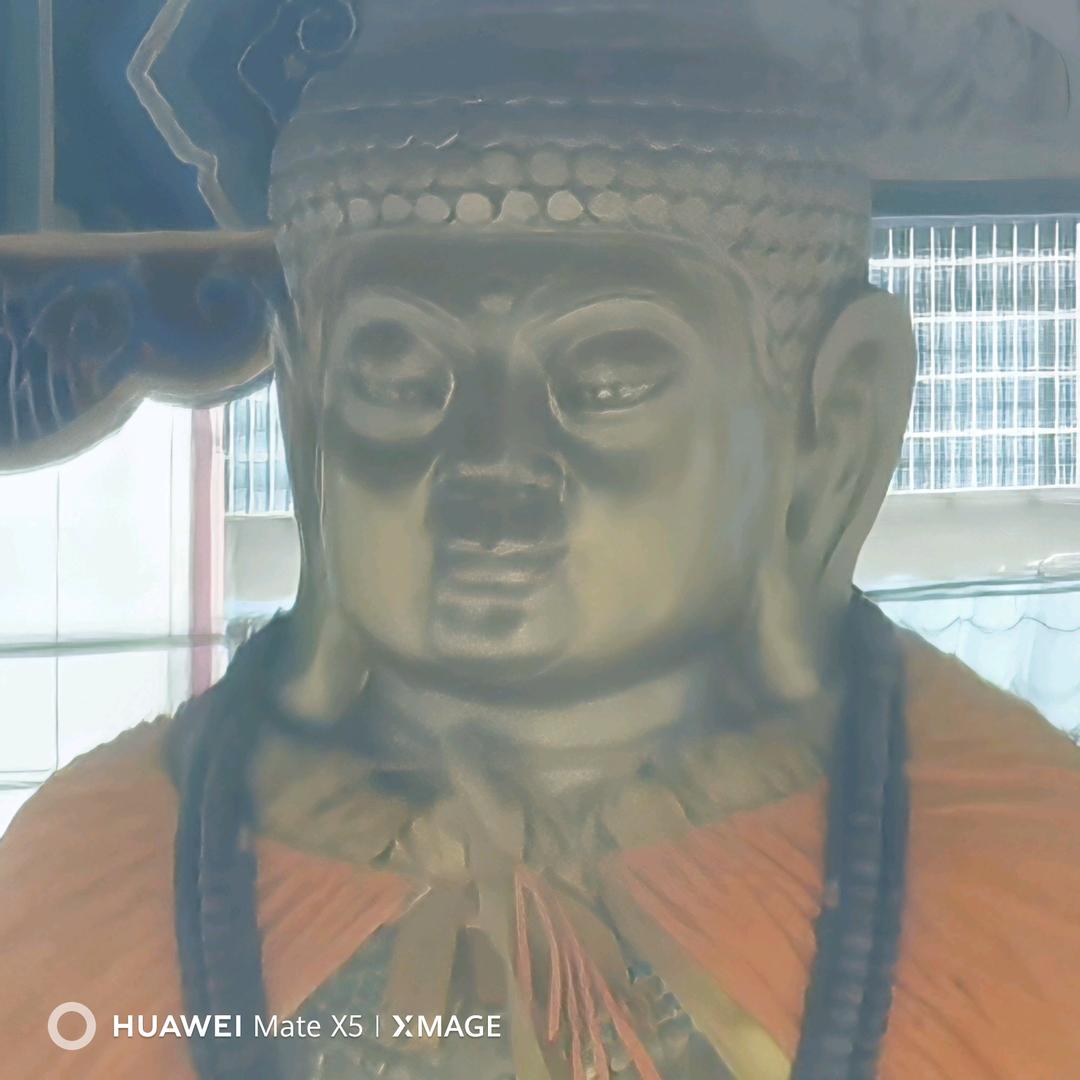 迷途的羔羊m