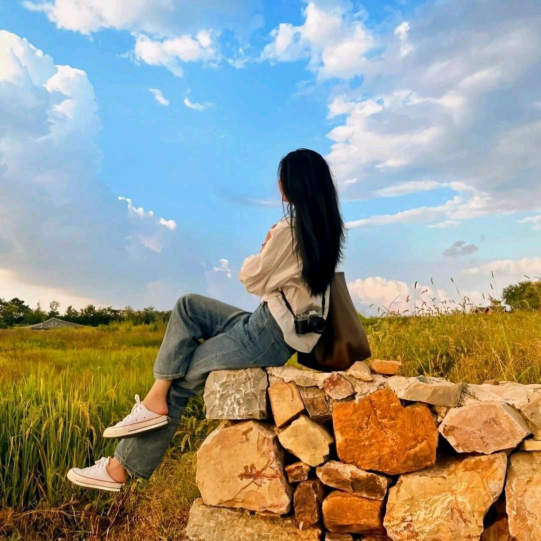 晨晨