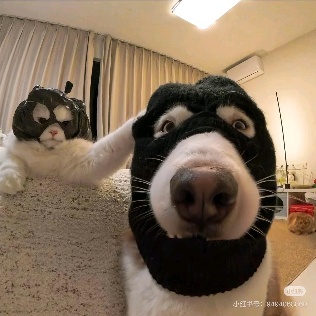 想办法以牙还牙