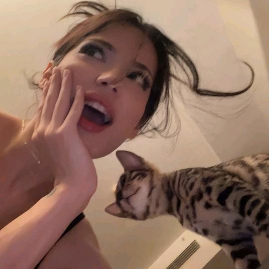不吃草