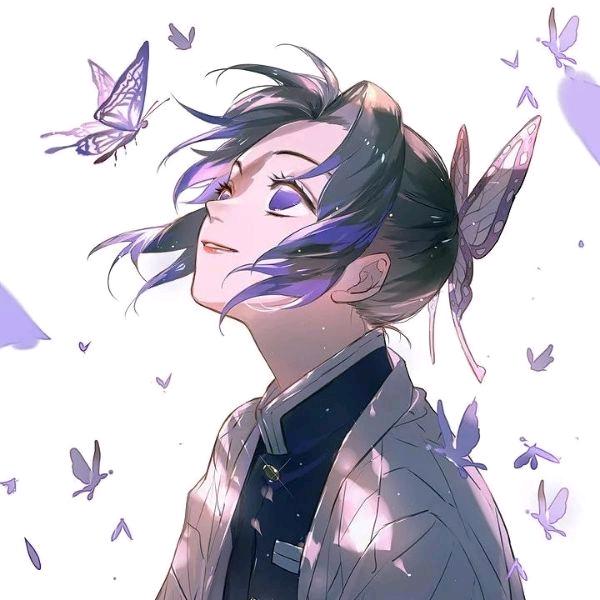 浅夏忍（三角洲行动）