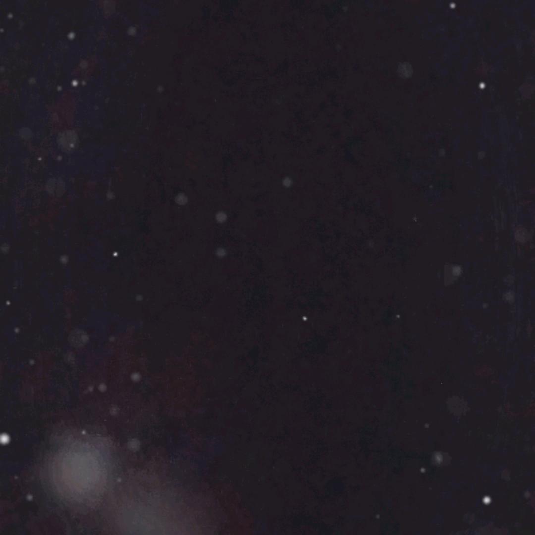 一天一个样子