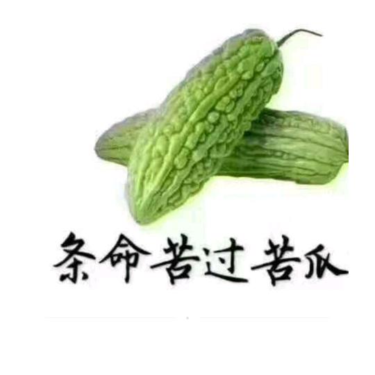 遇见你恨已晚 SSS1