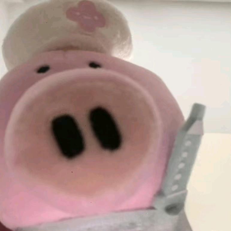 章鱼.