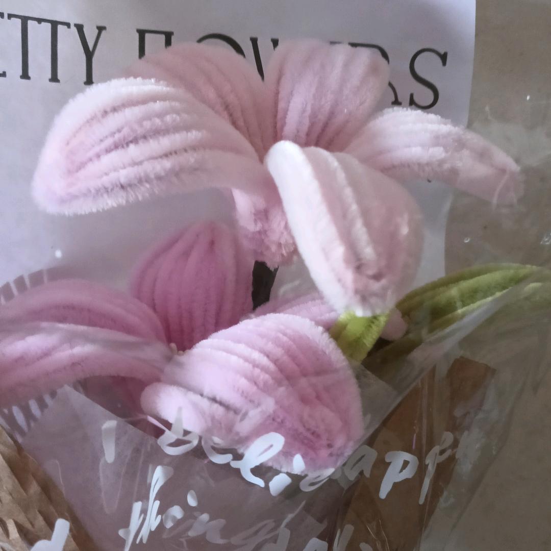 英姐是六三年9月的兔子！