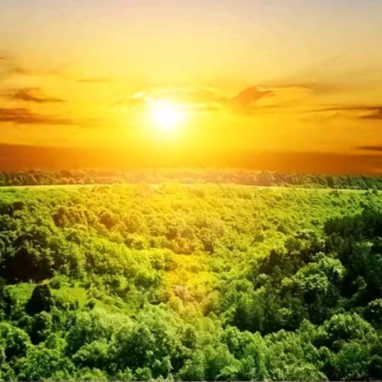 一生幸福❤️❤️