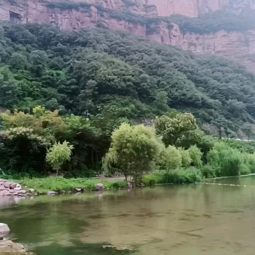 花开富贵’