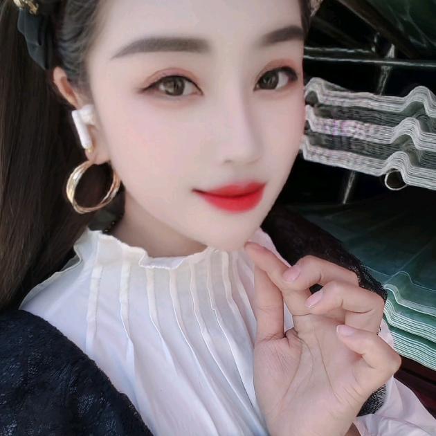 路燕子