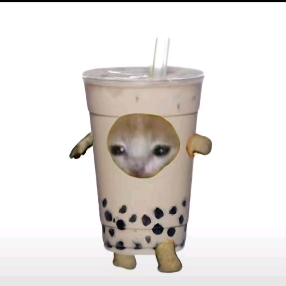 亭宝本猫meme