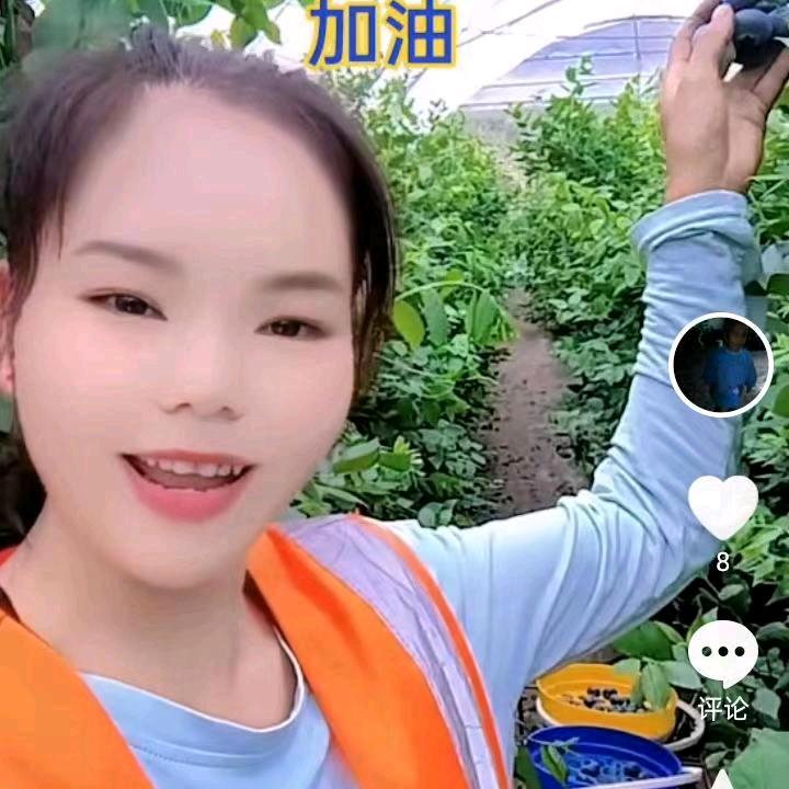 三贝吖  不定时开播
