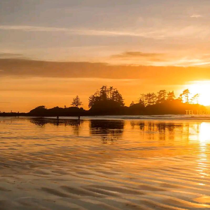 百家聊天直播间