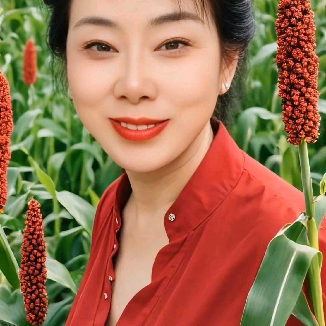 一帆风顺