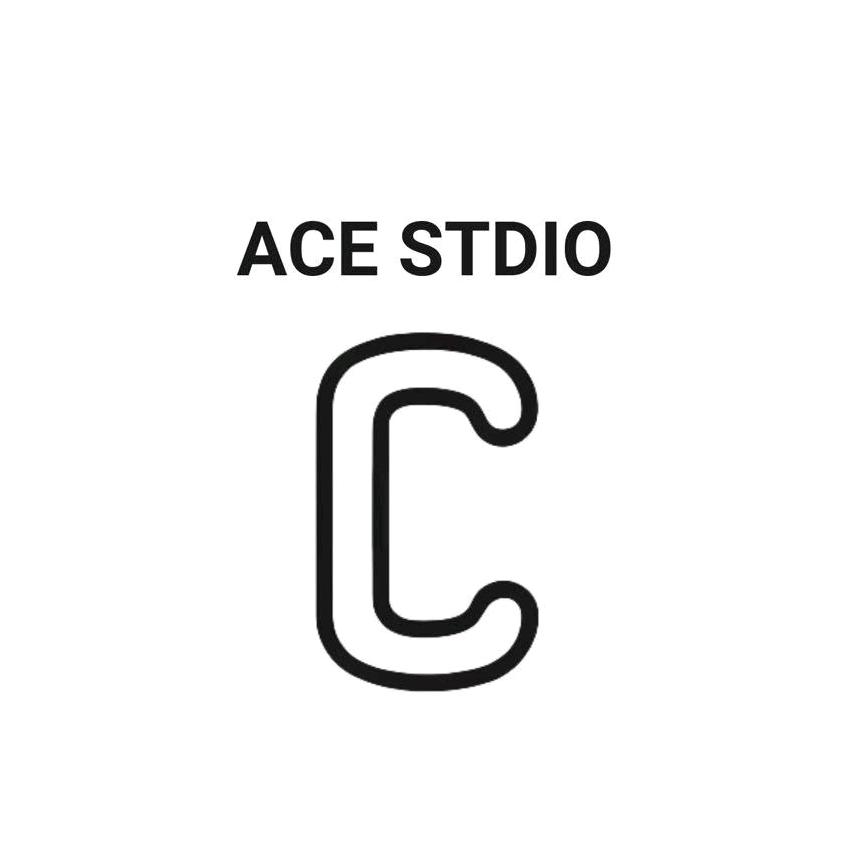 ACE STUDIO国金轻奢女鞋