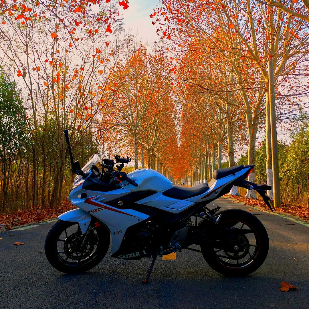 眼睛里面住着风