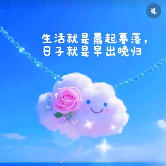 🌙月好星妹⭐️🌙💥（不关主播）