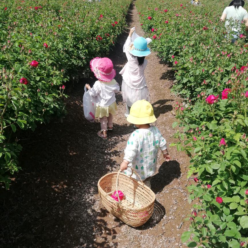 三人读书笔记（成长日记）