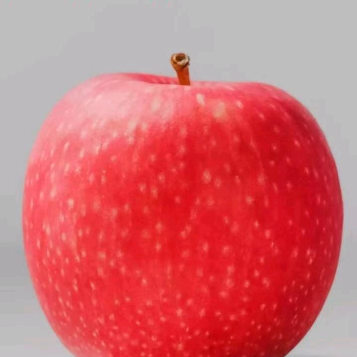 章丘华联开发区小飞侠