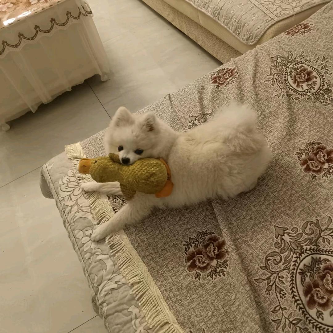 曾曾