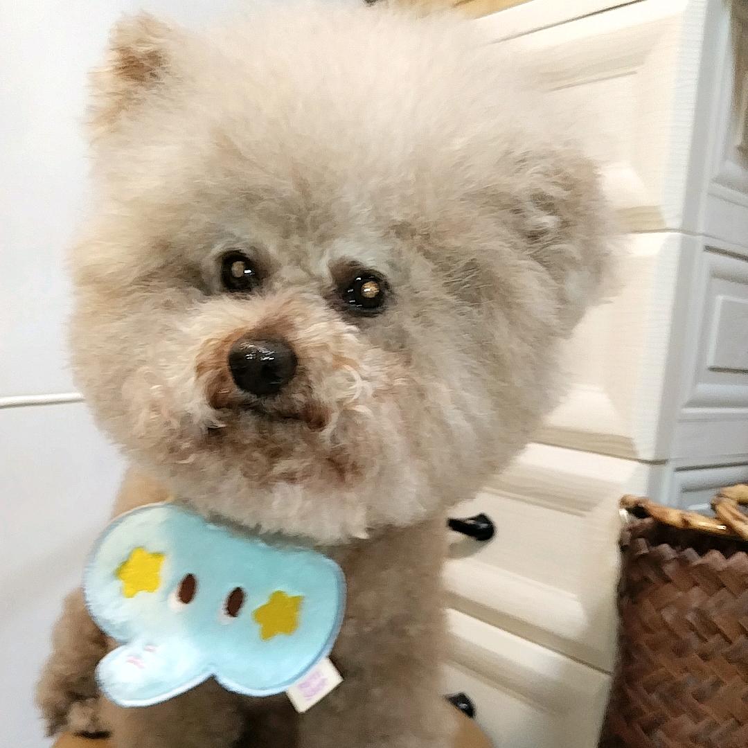 赵小宅   .      🐻  〰