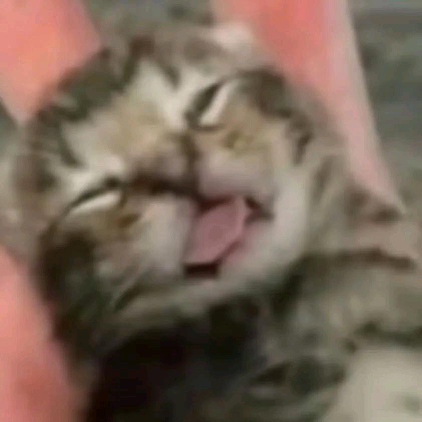 于码头港角日出时