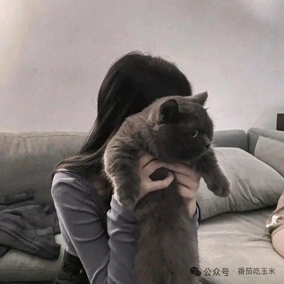 雨儿