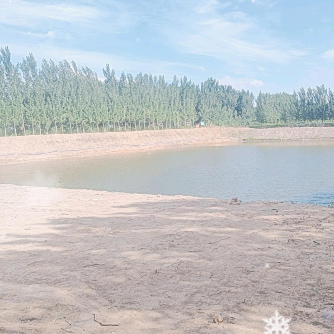 柏城大吕天香牡丹湖垂钓园